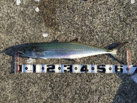 ポーアイ沖渋め